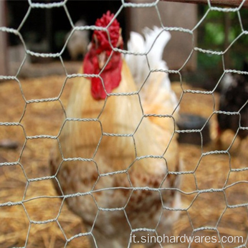 Vendite dirette di fabbrica Fence a gabbia per animali a rete esagonale